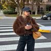 Ins style European and American fox fur jacket women's short autumn and winter imitation fur jacket light versatile plush women's clothing