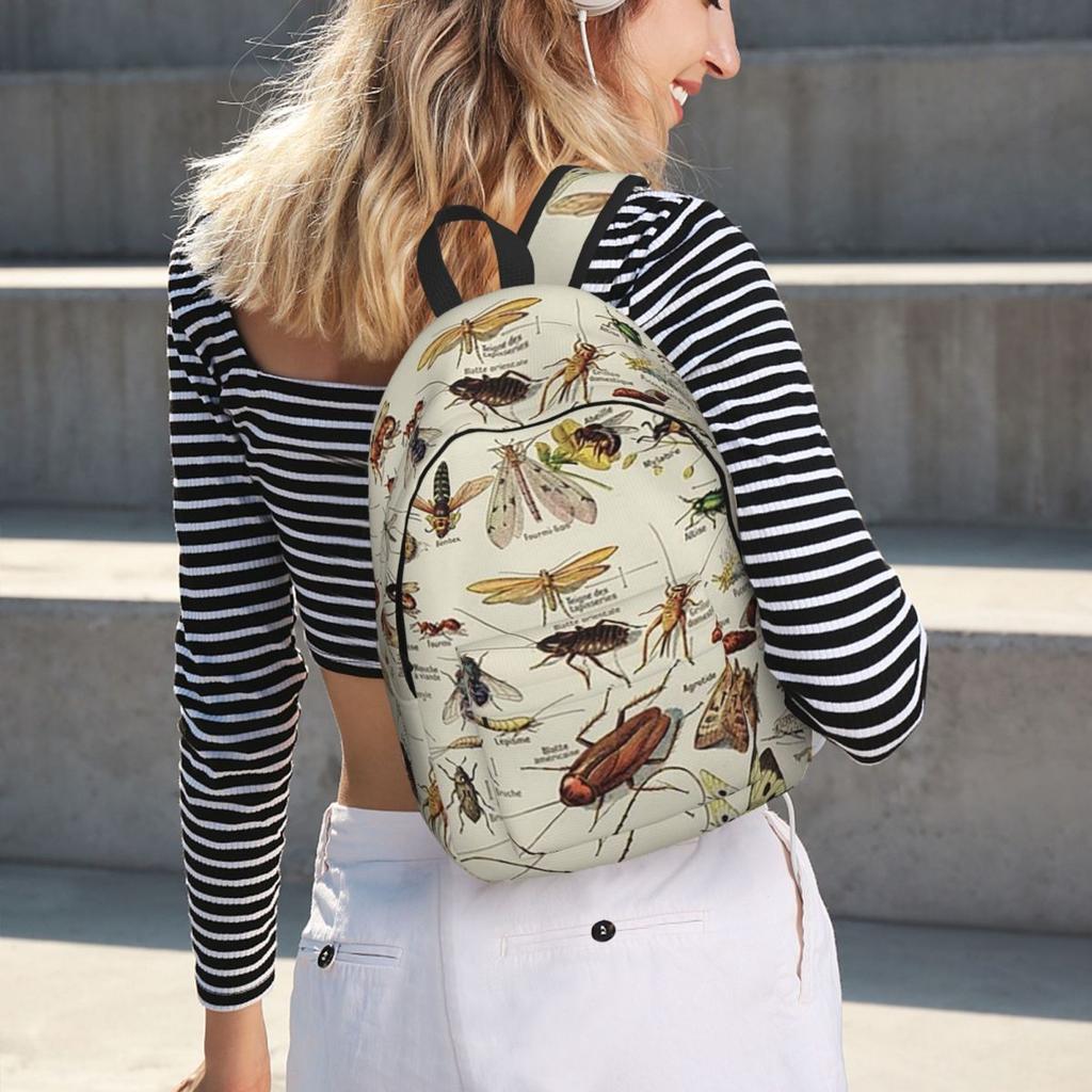 Insects Chart. Scientific Illustration, Text In French Backpack Hot Sale Daypack BookBag School Bag Shoulder Bags for Men Women
