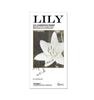 Beilile QQ Set: 10 Finger Cots and Safety Condoms - Adult Product Collection