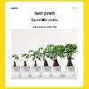 Aomeiyou Transparent Self-Watering Hydroponic Planter