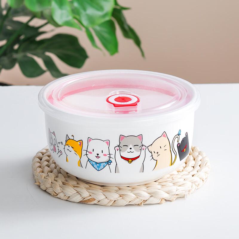 ZISIZ Japanese Cartoon Ceramic Instant Noodle Bowl with Lid