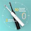 Electric Toothbrush for Adults IPX7 Waterproof DuPont Brush Head USB Rechargeable High Frequency Cleaning 6 Cleaning Modes