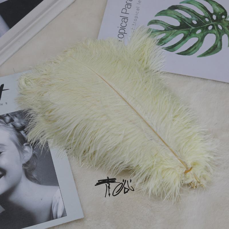 Colored Ostrich Feathers 30-35Cm Stage Performance Wedding Bouquet Decoration Ostrich Feathers