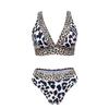 Nouveau Maillot de Bain Sexy Froncé Imprimé Léopard Maillot de Bain Femme Source Chaude Bikini Ensemble Deux Pièces