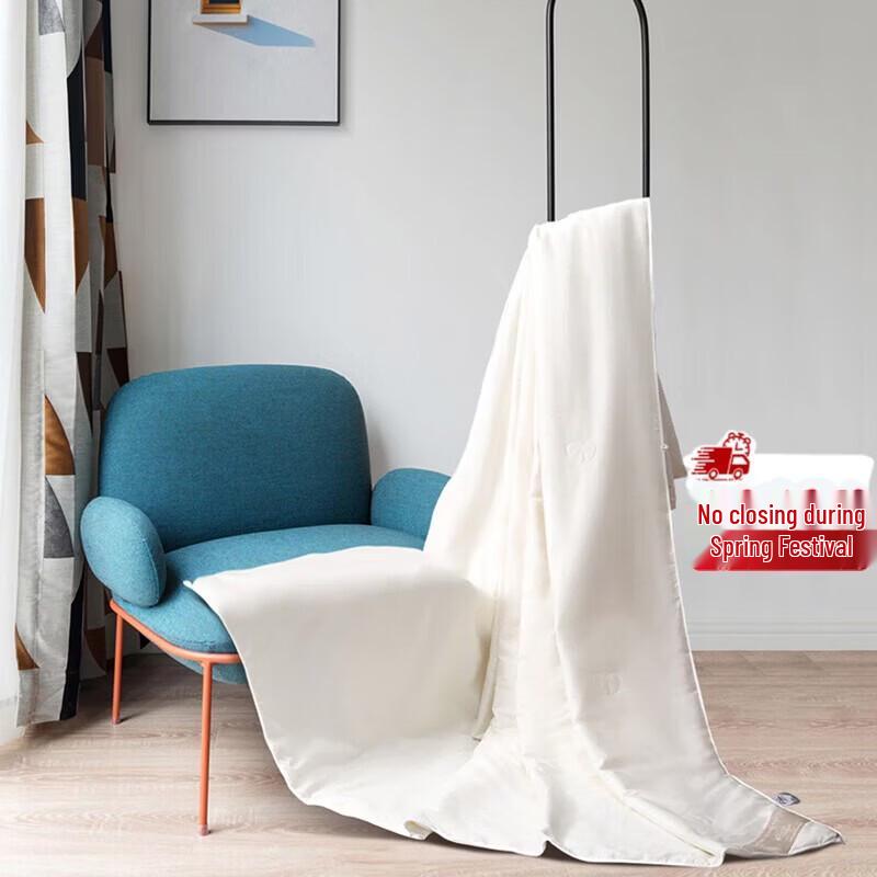 Mercury Home Textiles Kail Tussah Silk Quilt