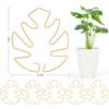 6pcs Plant Support Pots for Plants Alocasia Monstera Leaf Shape Greenhouse Plant Stand Plant Stem Fixation Bracke Plants Accesso