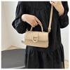 2024 Trendy Women's Small Square Handbag: High-End, Versatile Shoulder & Crossbody Bag