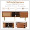 Living Room TV Stand Spacious Countertop Cabinet with 2 Drawers Two Rattan Bedroom Media Console Sliding Doors Metal Legs Furniture