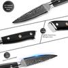 Damaskus Schälmesser 3,5" Japanischer VG10 Super Steel 67 Layer High Carbon Edelstahl G10 Griff Obstmesser