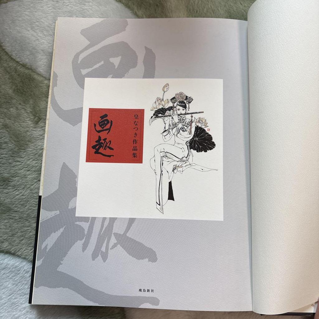 [USED] Artistic Interest: A Collection of Sumeragi Natsuki's Works