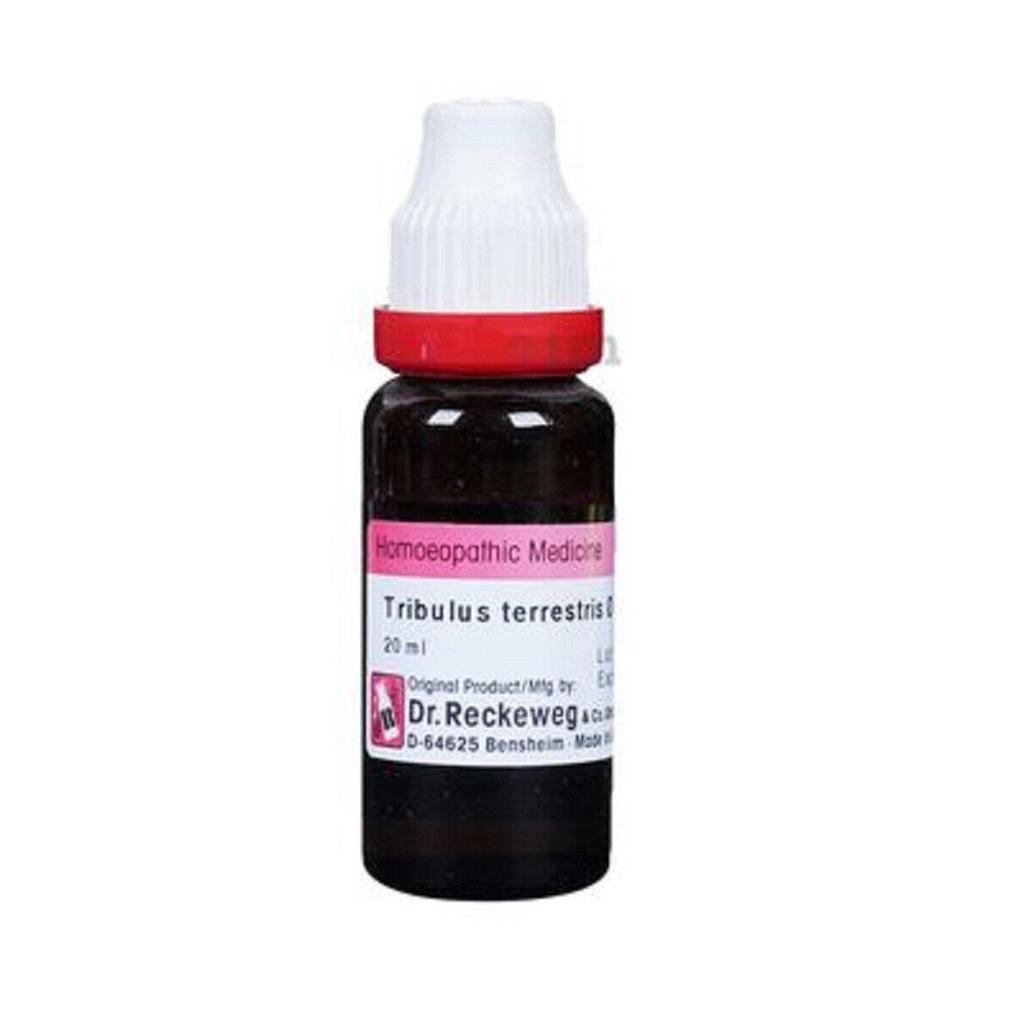 @ Dr. Reckeweg Tribulus Terrestris Q Homoepathic 20ml R546 UKR1173_60%OFF