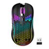 Wireless RGB Honeycomb Gaming Mouse, Lightweight with TYPE-C Charging and Wired Options