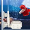 Peixes e animais aquáticos – Filtros e bombas para aquários