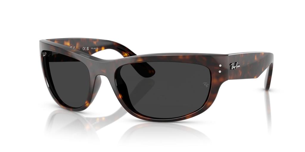 Sunglasses 0RB2289 60 [Ray-Ban] 902/48