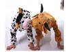 Children's Animal Performance Costumes: Rabbit, Dinosaur, Frog, Turtle, Little Duck for Toddlers - June 1st Edition