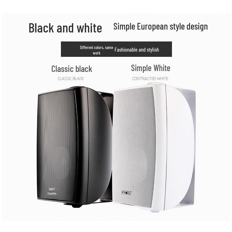 SAST Commercial Public Address System Speakers CN plug (adapter included)