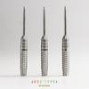 TRiNiDAD PRO JOSE4 Trinidad Pro Jose 4 Jose de Sousa Spieler Modell Dartpfeil Barrel Stahl