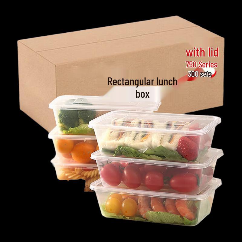 Disposable Rectangular Plastic Lunch Box