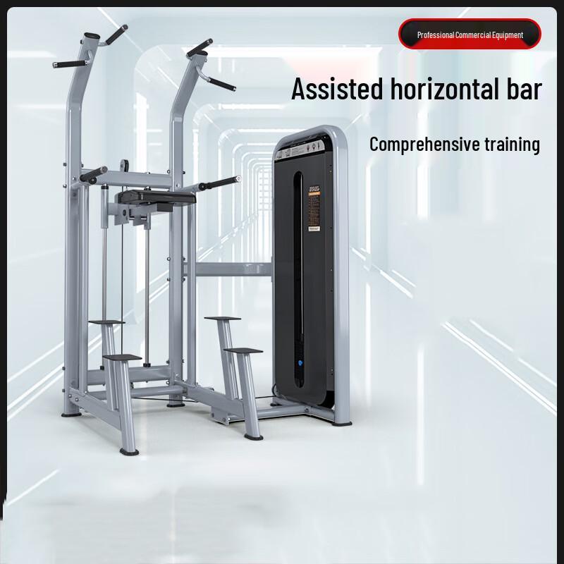 Desert Spring Assisted Pull-up & Dip Station