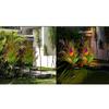 2PCS Solar Garden Lights Christmas Tree Outdoor Pathway Yard Lights Decorations