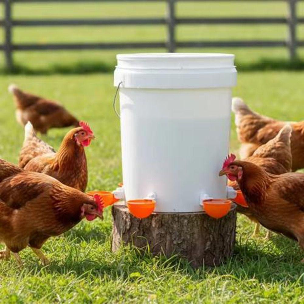 8Pcs Hanging Poultry Drinker Plastic Chicken Water Feeder Practical Bird Water Cups  Bird Coop