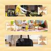 JiWangGu Disposable 1000ml Divided Lunch Boxes