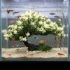 Plastic Simulation Aquatic Plant Natural Look Lifelike Tree Underwater Plants Artificial Welcome Pine Realistic Pine Tree