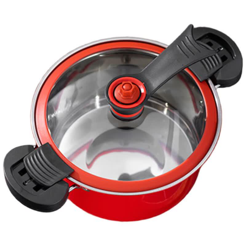 Wanting WT-WY-1 Stainless Steel Micro Pressure Cooker