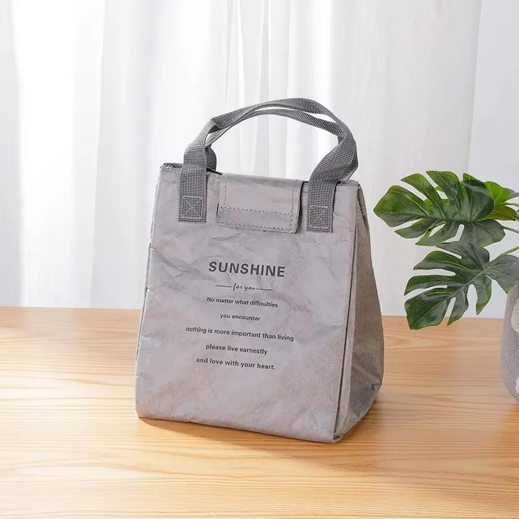 Large Capacity Insulated Lunch Bag, Aluminum Foil Thermal Bento Tote for Work & Food Delivery