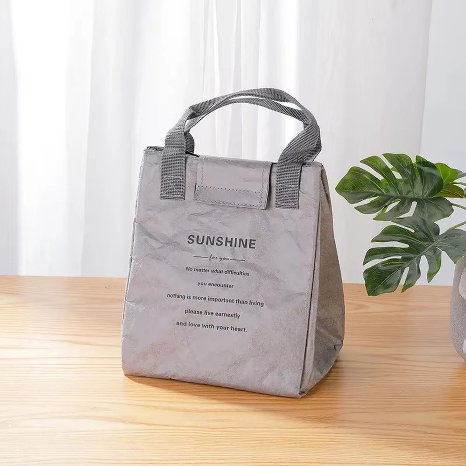 Large Capacity Insulated Lunch Bag, Aluminum Foil Thermal Bento Tote for Work & Food Delivery