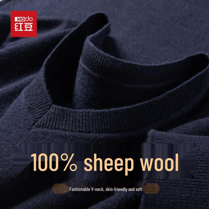

Hodo Men s 100% Wool V-Neck Sweater L