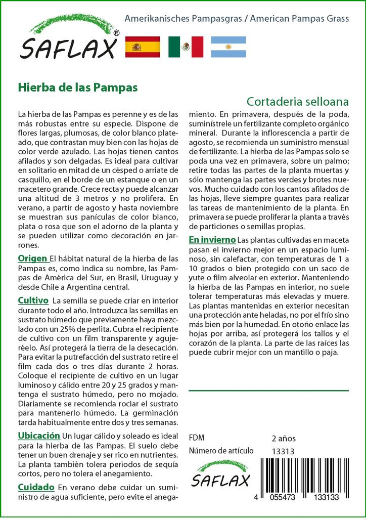SAFLAX Erba della Pampa Americana - 200 semi - Cortaderia selloana