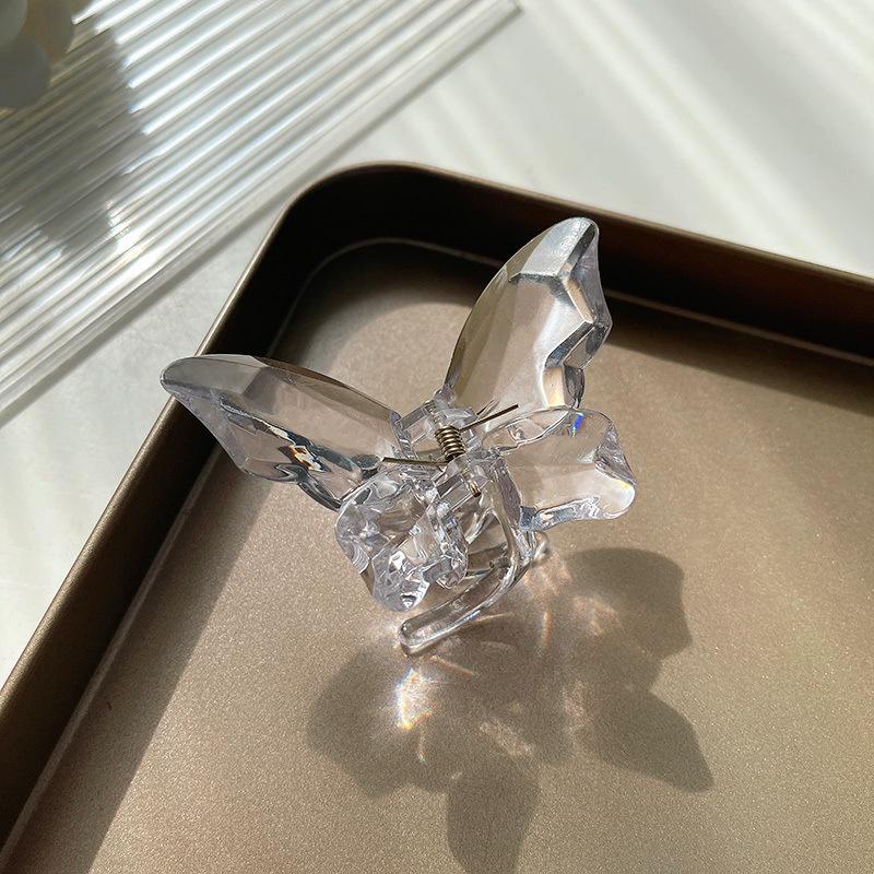Fairy Transparent Butterfly Hair Clip: Frosted Shark Claw for Half-Tied Summer Styles
