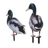 Enten Gartenstecker Dekoration Acryl Lebensecht Wetterfest Einfache Installation Outdoor Gartenstatue