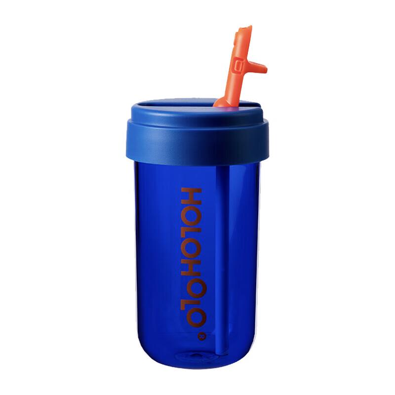 HOLOHOLO 316 Stainless Steel Straw Tumbler