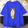 Cat Owl Funny Meowl Meme Brainrot Graphic T-shirts Men's Women Clothing Short Sleeves T-shirt Cotton Oversized T Shirts