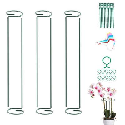 6pcs Garden Plant Support Bracket Climbing Vine Support Pole Set