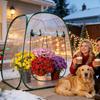 Mini-Gewächshaus Pop-up Gewächshausabdeckung Balkon Hof Garten Frostschutz Sämlingsisolationsschuppen für Gemüse