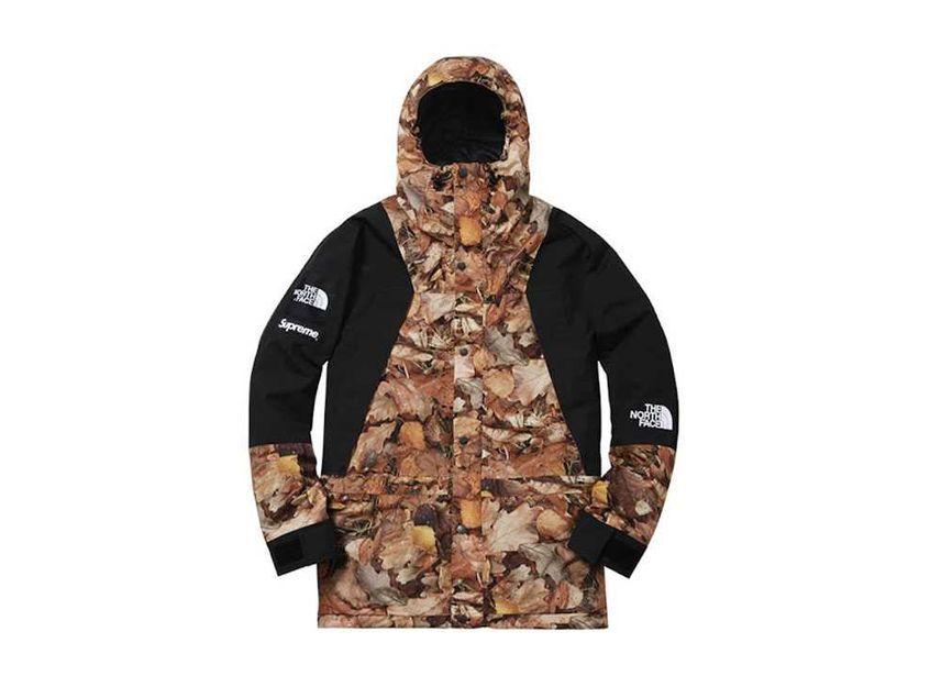Supreme The North Face Leaves Mountain