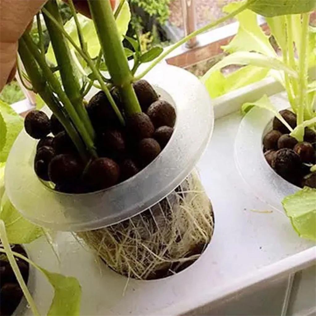 Transparent Planting Net Cup Hydroponic Colonization Mesh Pot Flower Vegetable Nursery Basket Soilless Growing Basket 5/50Pcs
