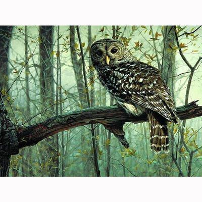 Completo 5D pittura diamante fai da te animale del fumetto gufo ricamo punto croce decorazioni per la casa regalo fatto a mano