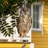 Expel Birds Pendant 2D Owl Scarecrow Pendant Garden Protector Decorative Scarer Pendant with Bell Fake Bird Scare Device