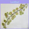Artificial Antigonon Leptopus Plant For Home Decor And Photography Backdrops