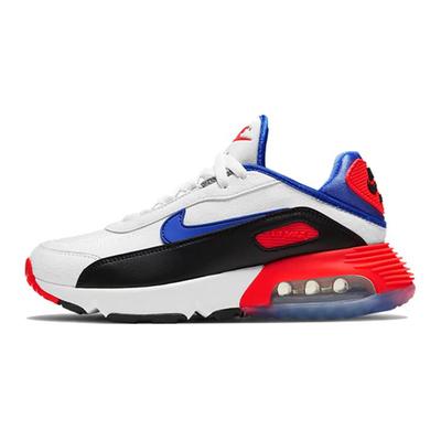 Air Max 2090 Evolution Of Icons GS CW1650-100