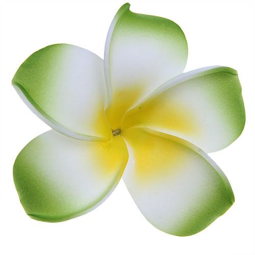 Women Girls Foam Plumeria Flower Hair Clip