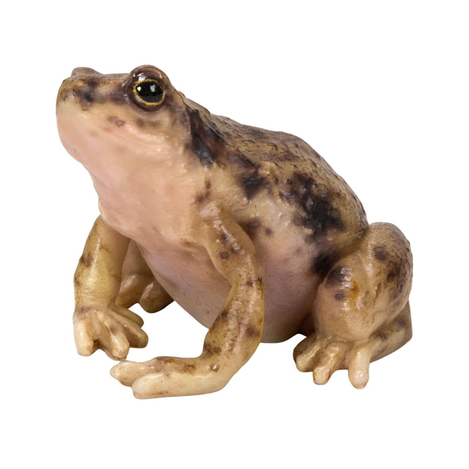 

Ubia Dwarf Frog 5 x 5 x 4 cm Doll Figurine Ornament Animal Garden Decoration Frog H20224 (Small)