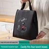 OEING Large Insulated Lunch Bag
