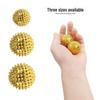 Compact Magnetic ABS Massage Ball for Physiotherapy