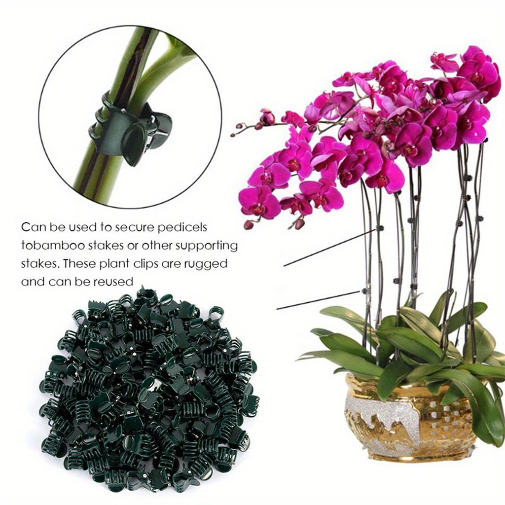 20Pcs Plastic Garden Clip, Dark Green Vine Support Bundle, Plant Clips, Phalaenopsis Graft Orchid Stem Clips