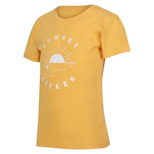 Regatta Childrens/Kids Bosley VI Sunset Seeker T-Shirt